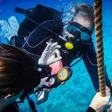 learn to scuba dive or earn a speciality in deep diving, search and recovery, drift diving, or become a professional diver.